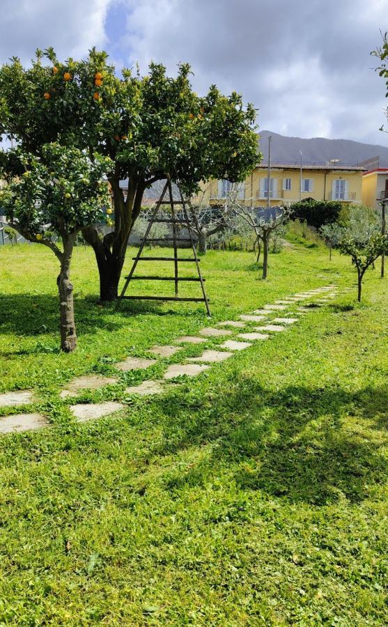 La Famiglia Hotel Pollena Trocchia Luaran gambar